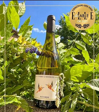 Degustazione di vini e tour a Terre des 2 Sources