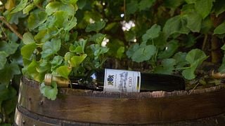 Degustazione di vini e tour presso Caparra & Siciliani