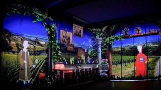 Tuscan Vineyard/Cellar Immersive Tour & Premium Wine Tasting
