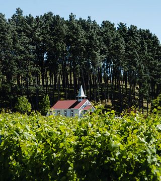 Marlborough: Clos Henri Legacy Tasting