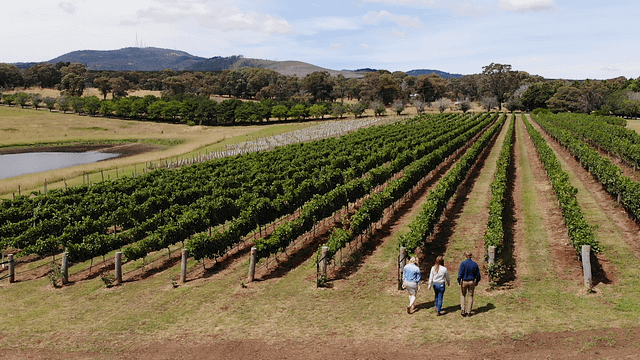 Degustação de vinhos na Stockman's Ridge Wines