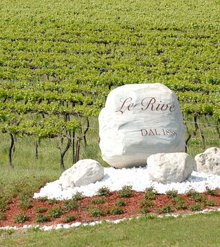 Le Rive Winery