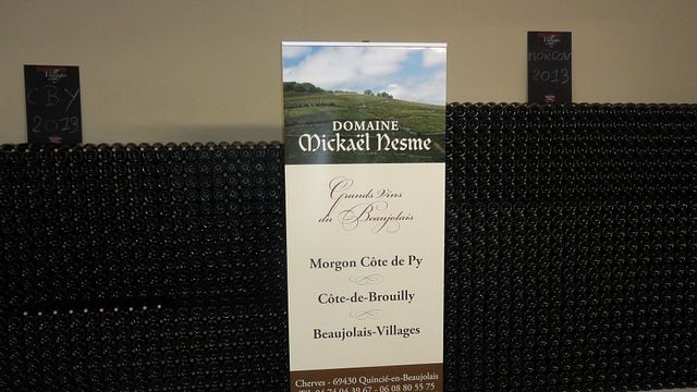 Domaine Nesme: A Gem in Beaujolais