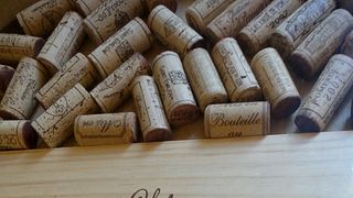Weinprobe mit einzigartigen alten Jahrgängen im Chateau Siaurac