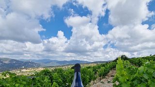 Nelion Winery