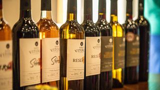 Dégustation et visite Premium à Santa Vitória