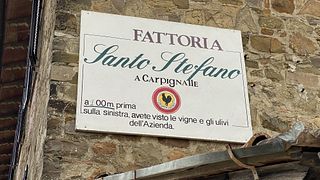 Tour do Vinho Bacco na Fattoria Santo Stefano