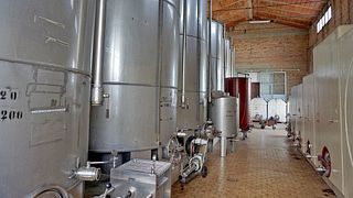 Degustação de vinhos no Castello di Selvole