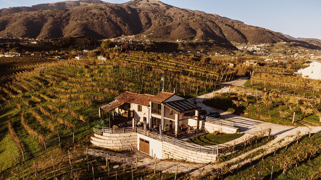 Dégustation de vins Valdobbiadene DOCG avec accords cicchetti