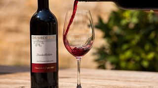 Cata de vinos y visita guiada en línea en Chumbderhof