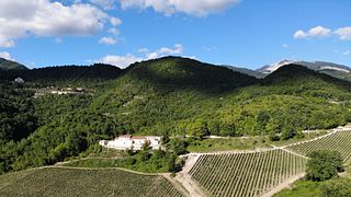 Cantina I Ciacca