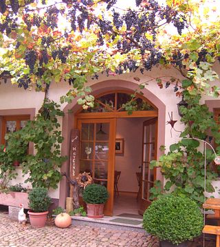 Weingut H.Steinle