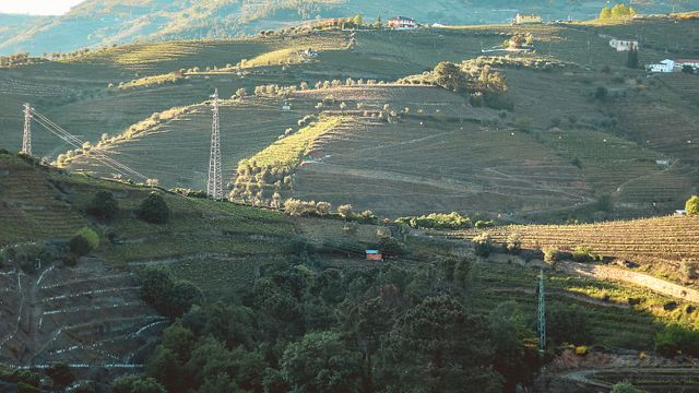 Cata de vinos DOC Duero en Quinta da Pousada - Casa de Campo
