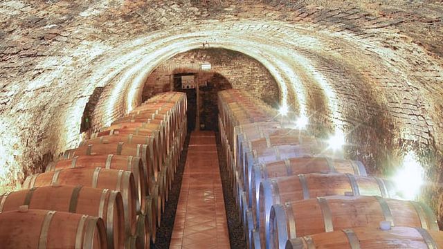 Visite guidée et dégustation de vin Brunello à Tenute Silvio Nardi