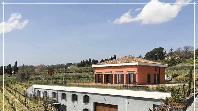 Discover Etna with Terra Costantino