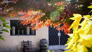 Finca Loranque Winery