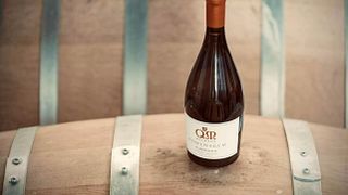 Degustazione di rivelazione