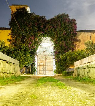 Sicily Organic Wine & Olive Grove Tasting Tour