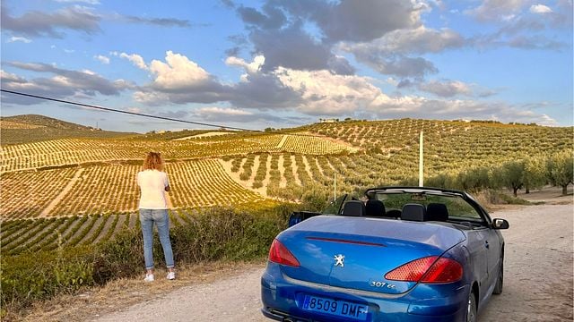 Dia inteiro no vinhedo Montilla-Moriles saindo de Córdoba