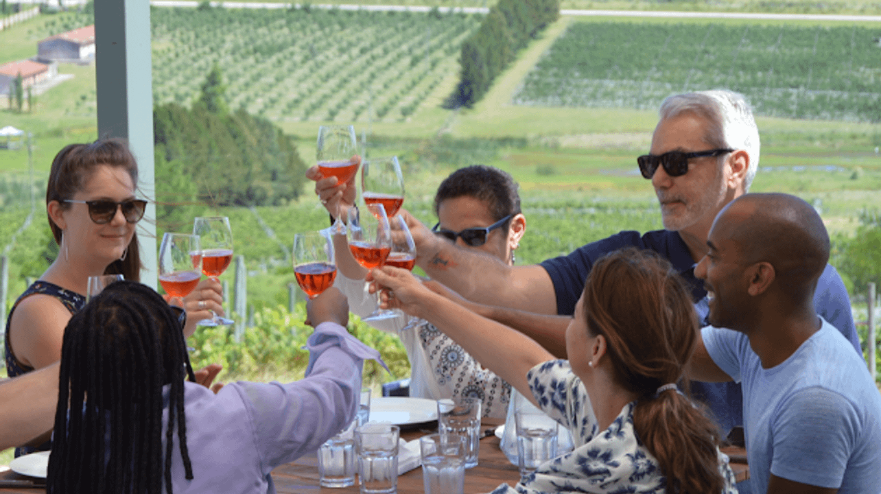 Entdecken Sie ein Weingut in der Gegend von Canelones