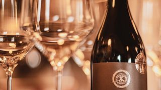 Cata de vinos y visita a la bodega de Avondale Wine Estate