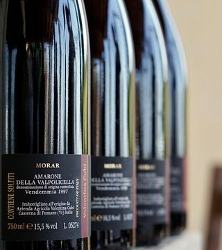Savor Veneto’s Amarone Elegance at Valentina Cubi