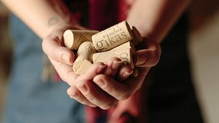 Elabora tu propio vino en la bodega Gikas