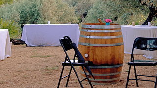 Dégustation de vins avec repas complet et visite à Biopaumera