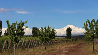 Mendoza Biodynamic Wine Tour & Tasting at Alpamanta