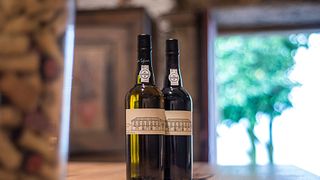 Vineyard Dinners & Wine Tasting at Morgadio da Calçada