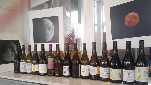 Degustazione di vini e tour ad Adega Pousadoiro