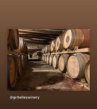 Deguste os vinhos e visite a vinícola | Celler Gritelles