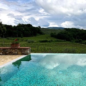 Dégustation de vins et visite à Alussinante