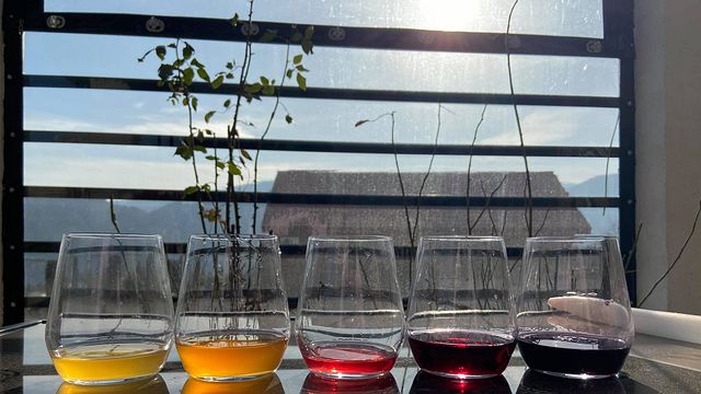 Degustazione e visita alla Cantina Georgino
