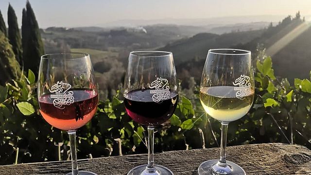 Cata de vinos y visita guiada en Tenuta Barbadoro