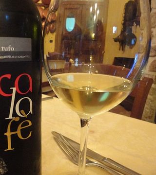 Dégustation de vins et visite à l'Azienda Calafe' Di Petrillo