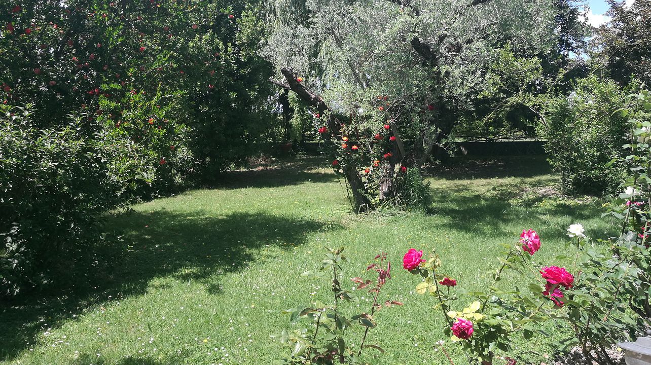 Colle del Saraceno        
