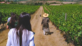 Viaggio alla scoperta dei vini Lindeborg | Quinta da Folgorosa