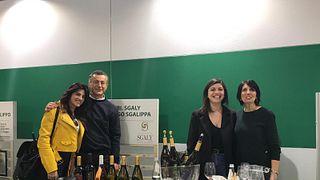 Dégustation de vins et visite à l'Azienda Agricola Biologica Sgaly Di Tommaso Sgalippa