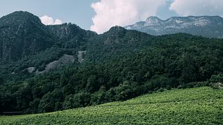 Degustazione di vini biologici presso la cantina Niedermayr