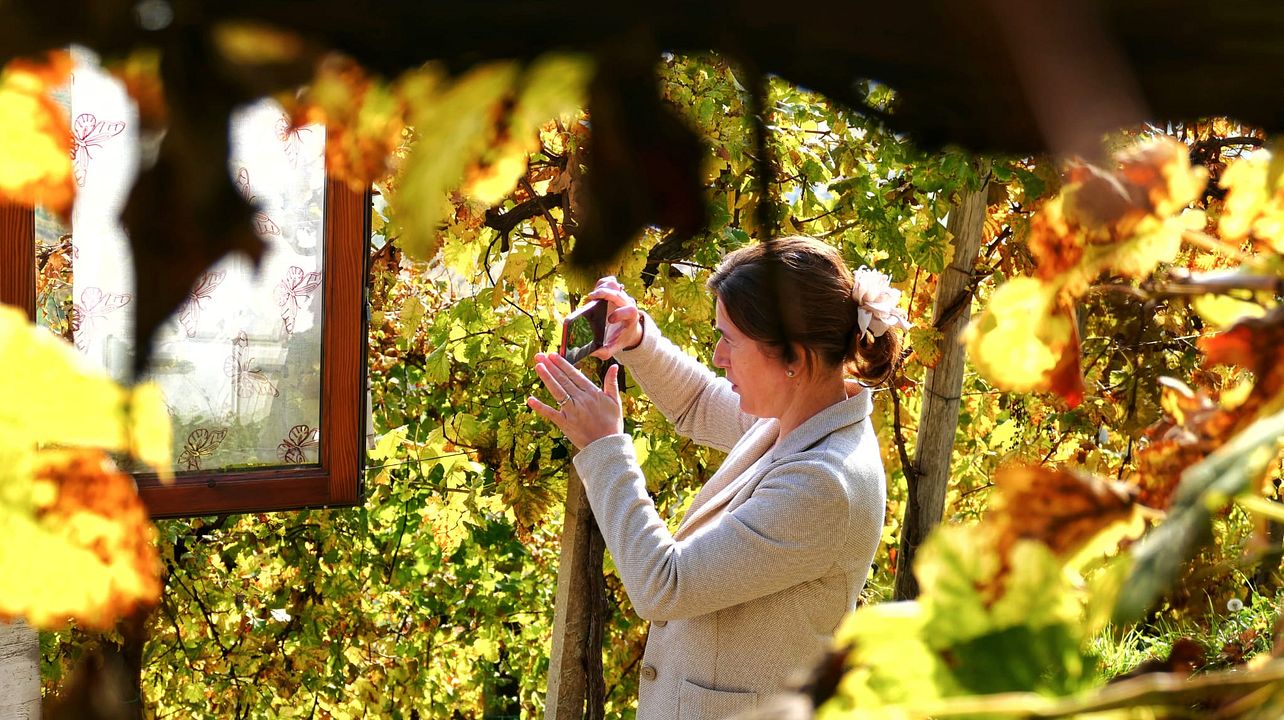 Aperilunch wine tasting in a Venetian Villa