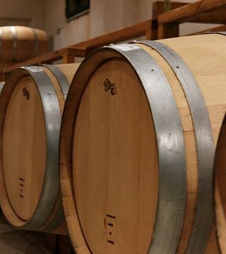 Dégustation de vins et visite du domaine Bizios