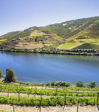 Tour Histórico no Vale do Douro - Vilas Antigas, Vinícola, Cruzeiro e Almoço
