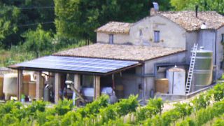 Promenade dans les vignobles et dégustation accompagnée de spécialités locales | Tenuta Dell'Ugolino