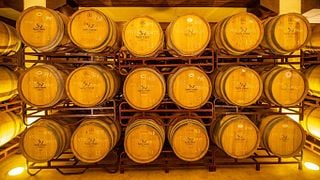 Cata de vinos tintos y tour en Santa Vitória