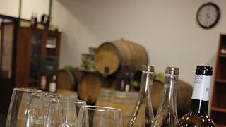 Degustazione di vini