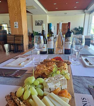 Zeginis Winery Tour & Tasting Experience