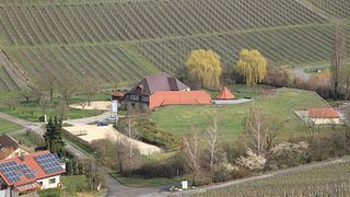 Württemberg Wine & Vineyard Discovery at Hohenlohe