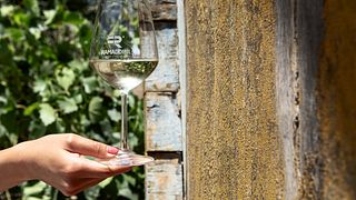 FR Lovers Degustação de vinhos e tour em Ramaddini