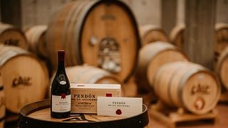 Bodegas Dominio De Cair